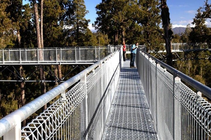 West Coast Tower Zipline & Treetop Walk: Greymouth Canopy Adventure photo 3
