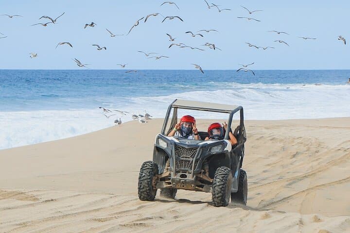 Side-by-Side 4x4 Adventure in Los Cabos: Dunes, Desert Trails and Ocean Cliffs photo 3