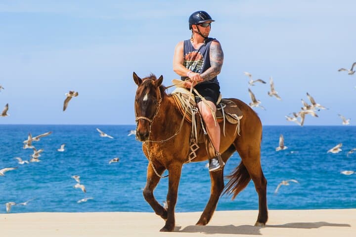 Cabo Desert and Beach Horseback Riding at Migrio Beach