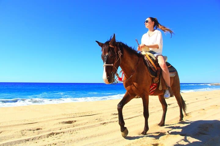 Cabo Desert and Beach Horseback Riding at Migrio Beach photo 2