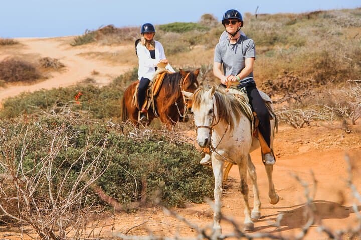 Cabo Desert and Beach Horseback Riding at Migrio Beach photo 3