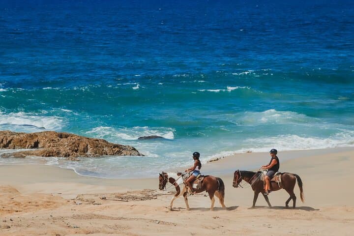 Cabo Desert and Beach Horseback Riding at Migrio Beach photo 5