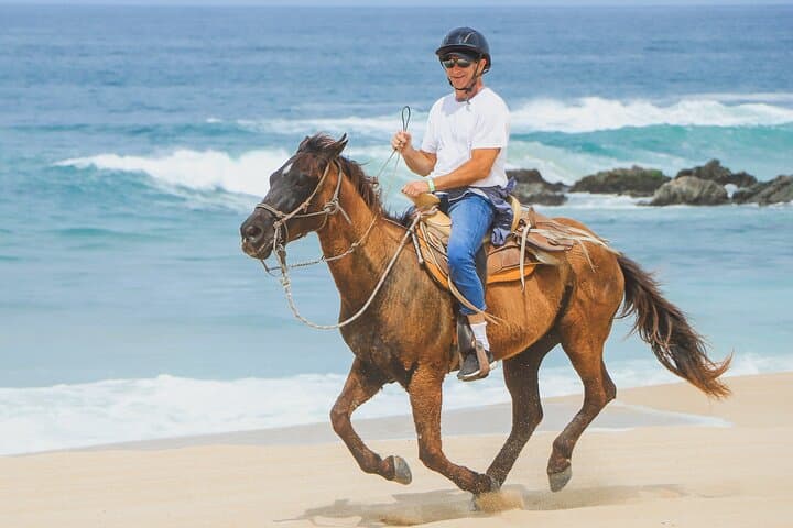 Cabo Desert and Beach Horseback Riding at Migrio Beach photo 6