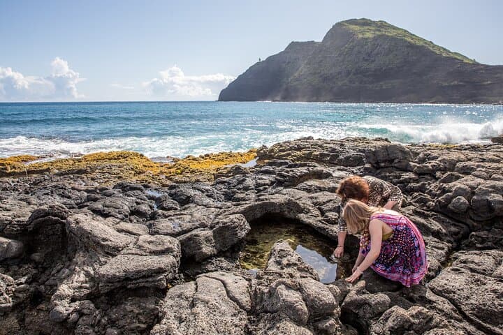Oahu Personalized Private Tour: Custom Full-Day Island Experience from Honolulu photo 5