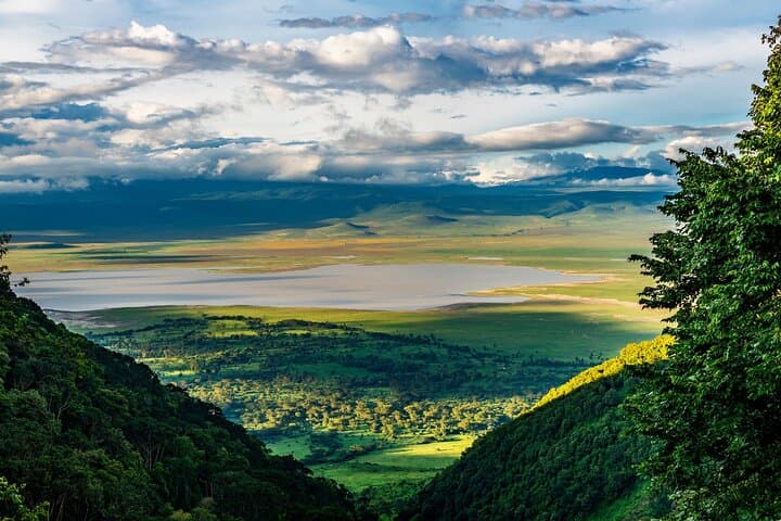 3-Day Arusha Safari: Tarangire & Ngorongoro Crater Wildlife Tour photo 5