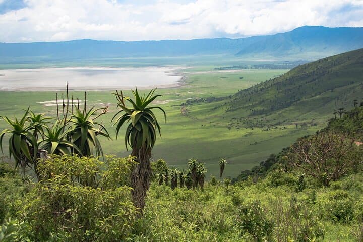 4-Day Northern Circuit Safari from Zanzibar to Ngorongoro, Tarangire & Lake Manyara photo 6