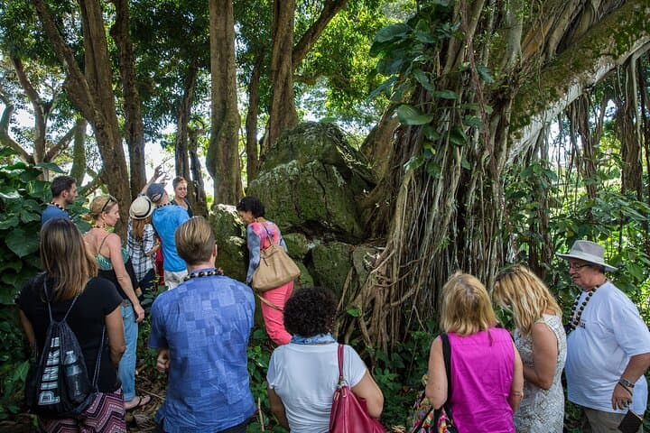 Oahu Sacred Sites Small-Group Tour — Off-the-Beaten-Path Cultural Tour from Honolulu photo 4