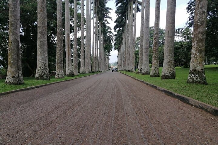 Aburi ATV Quad Biking & Waterfall Private Tour from Accra photo 5