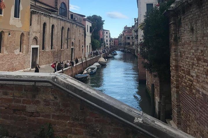 Venice Animal Quest: Rialto walking game for kids and families photo 4