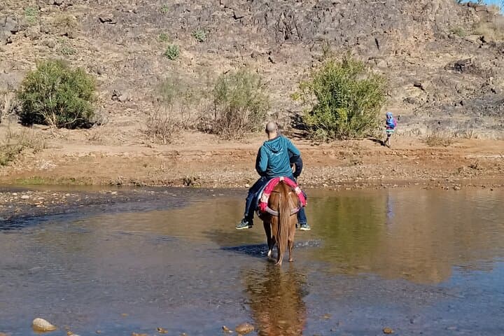 Half-Day Private Walking Tour in Sidiflah Gorges and Skoura Palm Grove photo 4