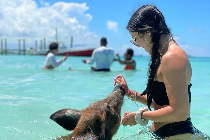 Nassau Pig Beach & Snorkel: Swimming Pigs, Private Beach and Reef Break