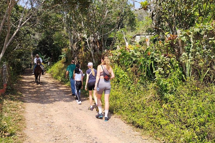 Colonial Guaduas Tour: Piedra Capira, 36m Waterfall & Historic Town Day Trip photo 2