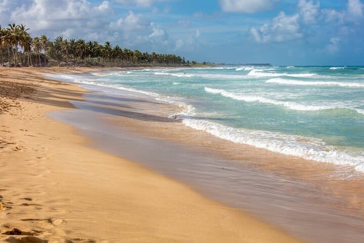 Discover Authentic Dominican Life on a Full-Day Safari Adventure photo 3