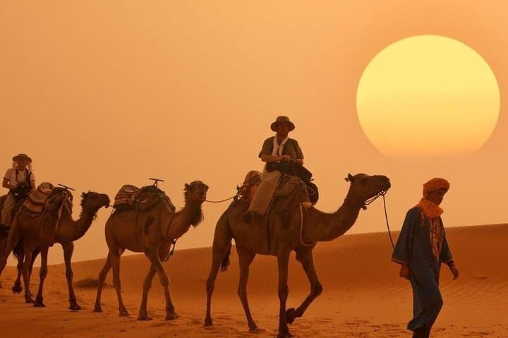 Three-Day Moroccan Desert Circuit: Agadir to Merzouga to Marrakech photo 2