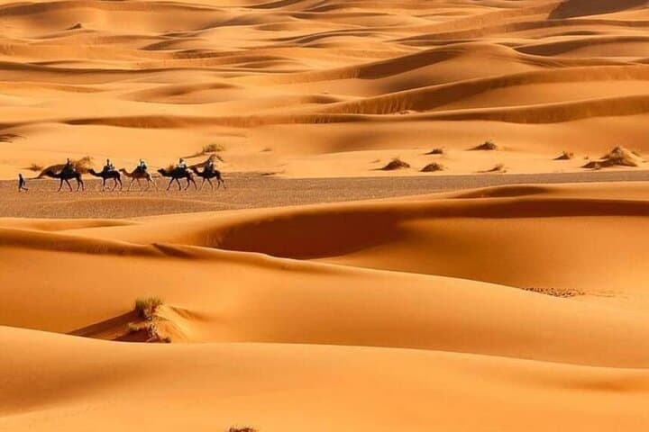Three-Day Moroccan Desert Circuit: Agadir to Merzouga to Marrakech photo 5