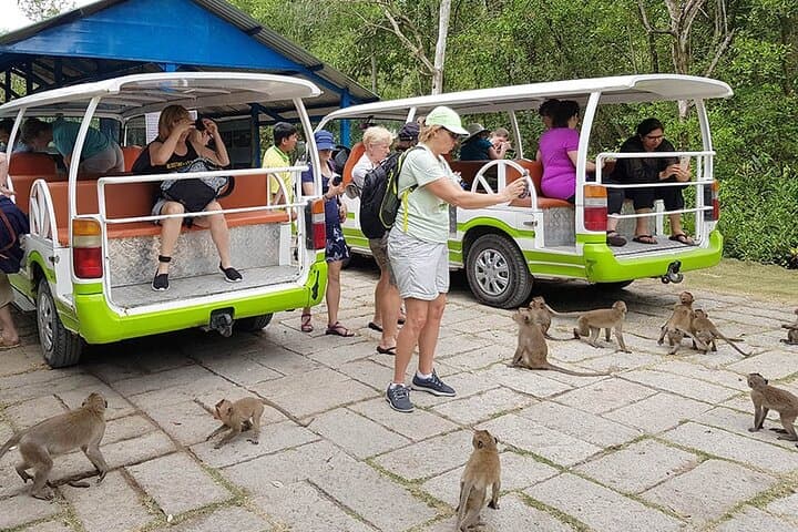 Speedboat to Vam Sat: Exploring Can Gio Mangrove Biosphere Reserve photo 6