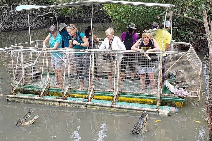Speedboat to Vam Sat: Exploring Can Gio Mangrove Biosphere Reserve photo 5