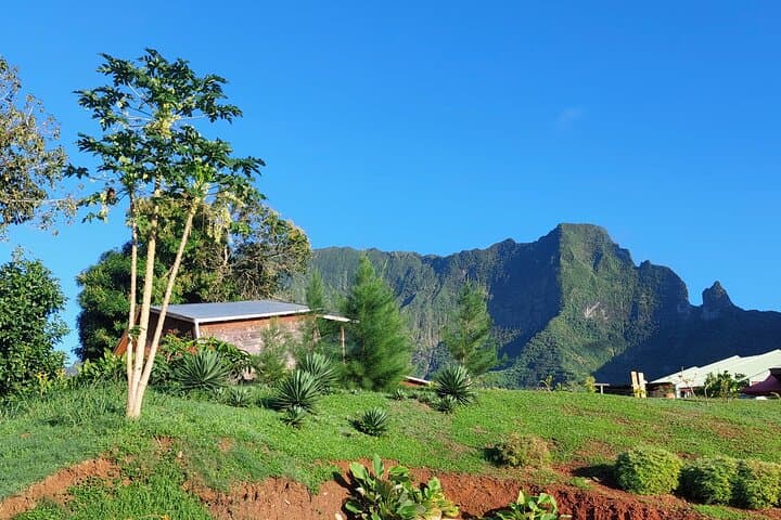 Inside Mystery House Raiatea: Gravity Hills, Optical Illusions and a Private Guided Tour