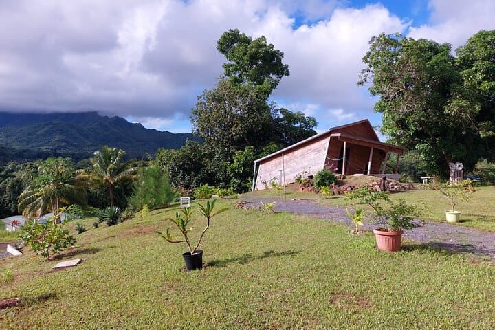 Inside Mystery House Raiatea: Gravity Hills, Optical Illusions and a Private Guided Tour photo 2