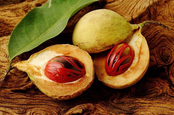 Grenada Spice Gardens, Rum & Chocolate Tour — Full or Half Day Island Experience