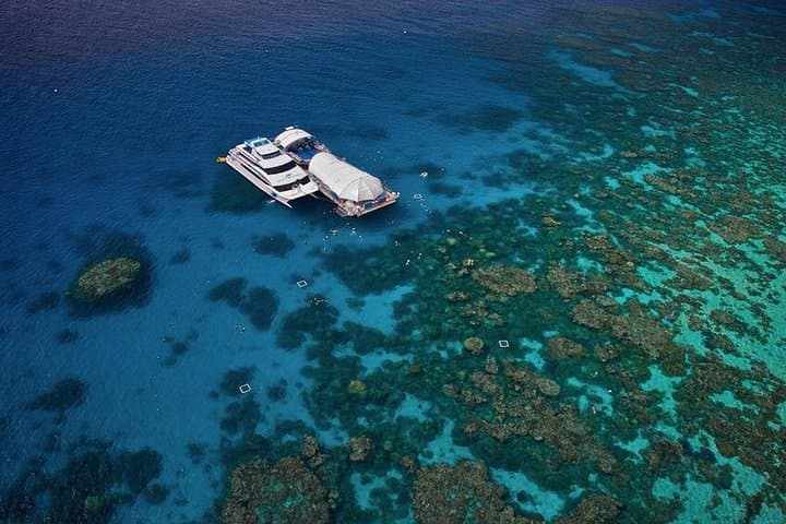 Great Barrier Reef Full-Day Pontoon: Snorkel, Semi-Submersible & Reef Activities from Cairns photo 2