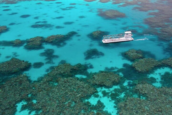 Agincourt Reef Snorkel Cruise from Palm Cove — Outer Great Barrier Reef Day Trip photo 4