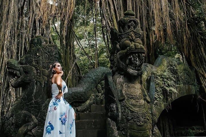 Ubud Monkey Forest, Tegalalang Rice Terraces, Tirta Empul & Waterfalls — Full-Day Tour photo 3