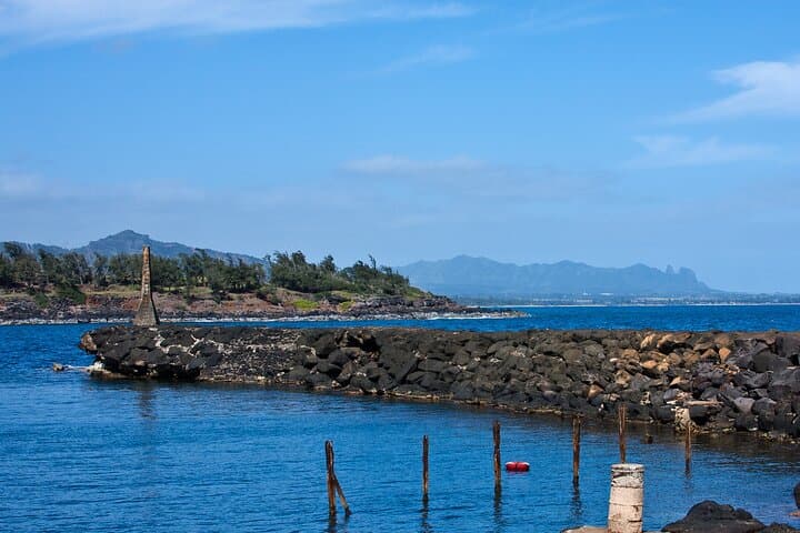 Kauai Day Trip from Oahu: Movie Sites, Hanalei & Opaeka'a Falls photo 3