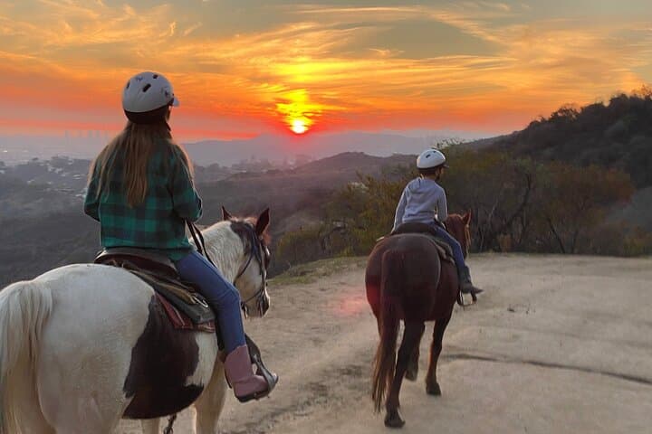 Mulholland Trail Horseback Tour: Ride Above the Hollywood Hills photo 3