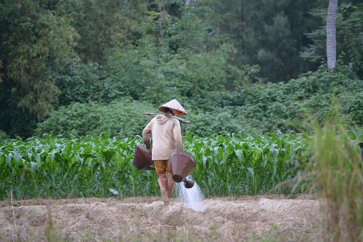 Hoi An Countryside Mountain Bike Tour: Rice Fields, Bamboo Bridges & Banh Mi photo 6