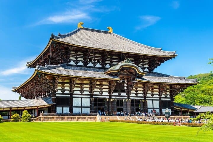 Arashiyama and Nara One-Day Private Tour: Bamboo Groves, Deer & Temples photo 6