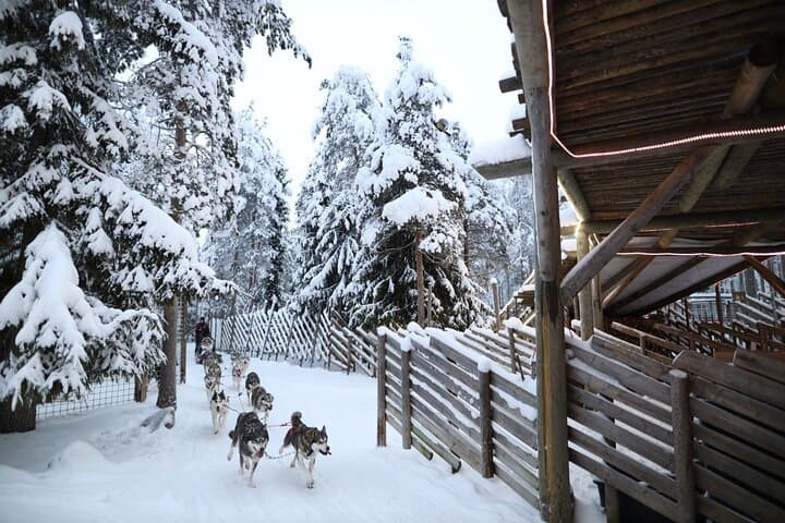 Rovaniemi Santa Claus Village Husky and Reindeer Combo Safari