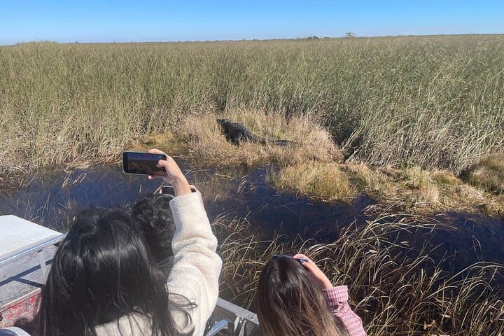 Everglades Airboat Eco-Tour: Airboat Ride & Wildlife Encounter from Miami photo 6