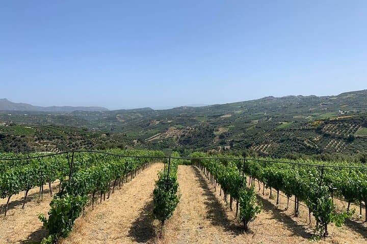 Private Wine Tour in Dafnes Valley — Tastings & Traditional Cretan Lunch photo 4