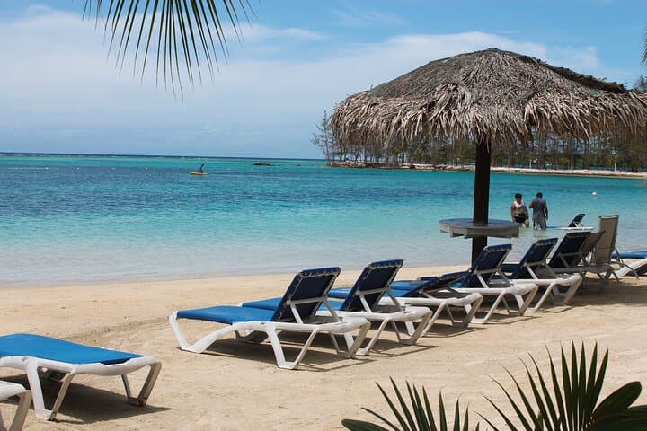 Roatán Eco-Park and West Bay Beach Tour: Wildlife, Culture & Reefside Relaxation photo 5