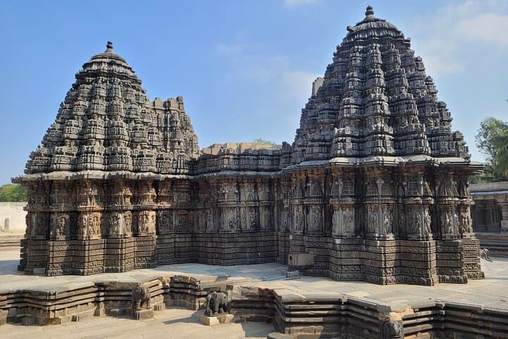 8-Day South India Tour: Munnar, Backwaters & Kabini Wildlife