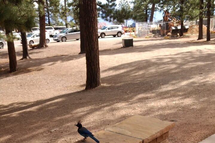 Bryce Canyon E-Bike Tour: Guided Ride to Inspiration Point & Fairyland photo 2