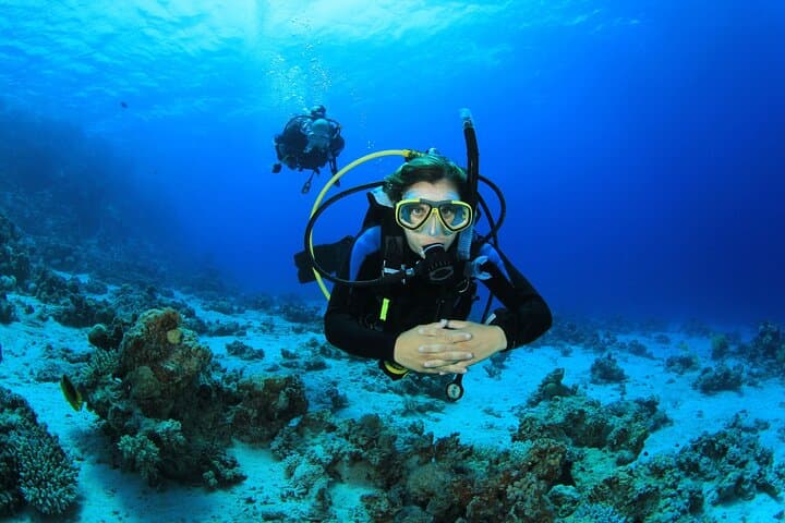 Beginner Scuba Diving in San Andrés: Intro Dive in the Sea of Seven Colors photo 5