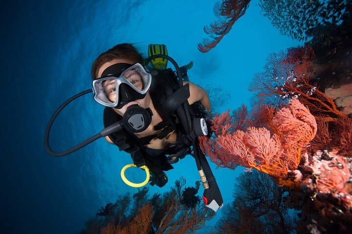 Beginner Scuba Diving in San Andrés: Intro Dive in the Sea of Seven Colors