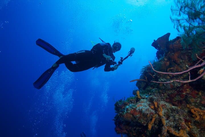 Beginner Scuba Diving in San Andrés: Intro Dive in the Sea of Seven Colors photo 2