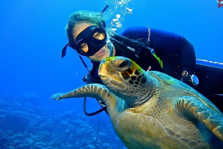 Beginner Scuba Diving in San Andrés: Intro Dive in the Sea of Seven Colors photo 3
