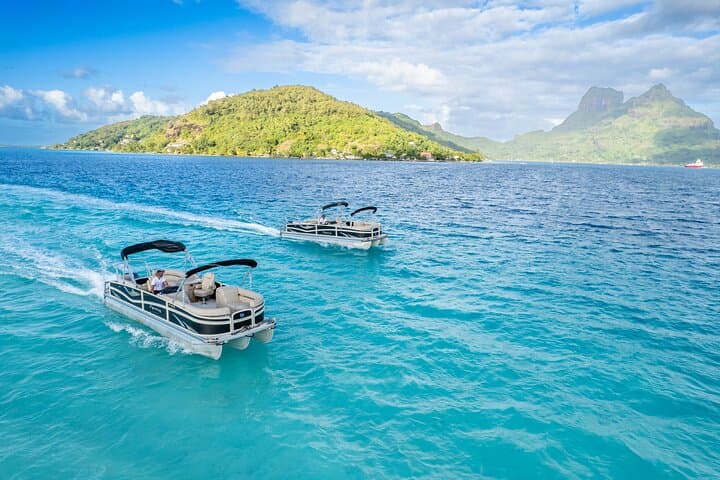 Private Lagoon Snorkel Tour in Bora Bora — Sharks, Rays & Coral Gardens photo 5