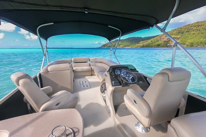 Private Lagoon Snorkel Tour in Bora Bora — Sharks, Rays & Coral Gardens photo 6