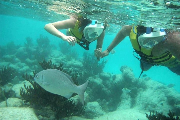 Swim with Turtles and Explore a Riviera Maya Cenote: Half-Day Akumal & Cenote Tour photo 4