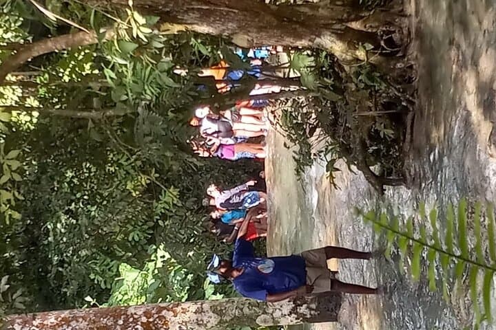 Climb Dunn's River Falls: Falmouth to Jamaica's Cascading Staircase photo 3