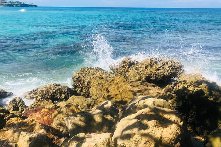 Blue Lagoon & Laguna El Dudu Adventure from Puerto Plata — Zipline, Cenote Swim & Beach Lunch photo 2