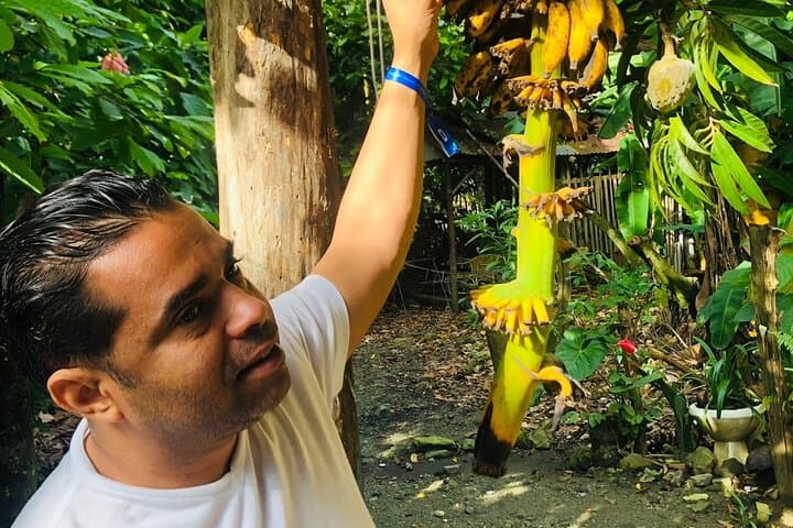 Blue Lagoon & Laguna El Dudu Adventure from Puerto Plata — Zipline, Cenote Swim & Beach Lunch photo 5