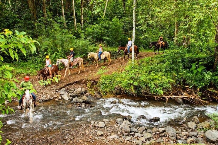 Jaco Rainforest Waterfall Hike & Horseback Birdwatching Adventure