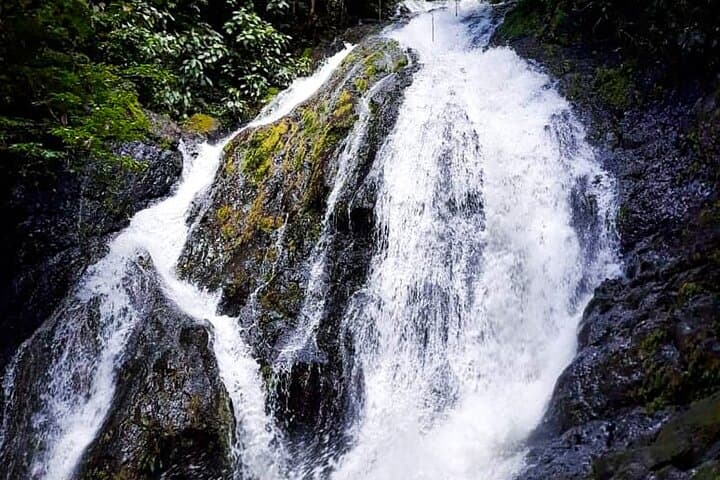 Jaco ATV, Zipline & 180-Foot Waterfall Rappel Combo — 5-Hour Adventure photo 5