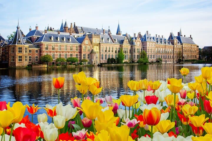 Private Day Tour from Amsterdam to Rotterdam, The Hague & Delft